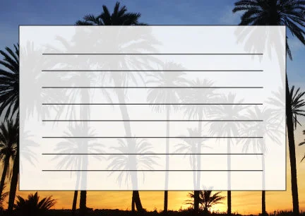 Sunset Palms