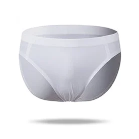 Light - weight men's briefs for summer wearTop Ice Silk  Breathable Low Rise Brief